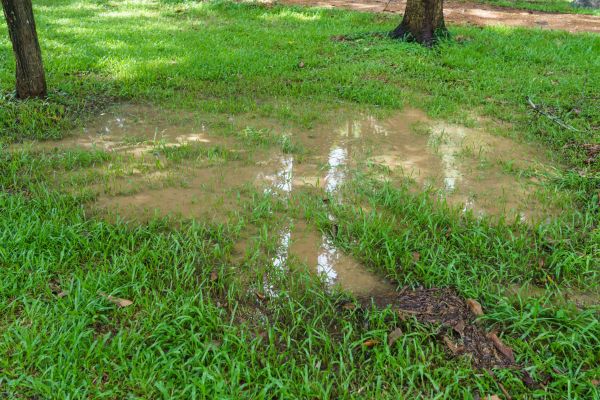 Cost of Storm Water Drainage Service in Tacoma