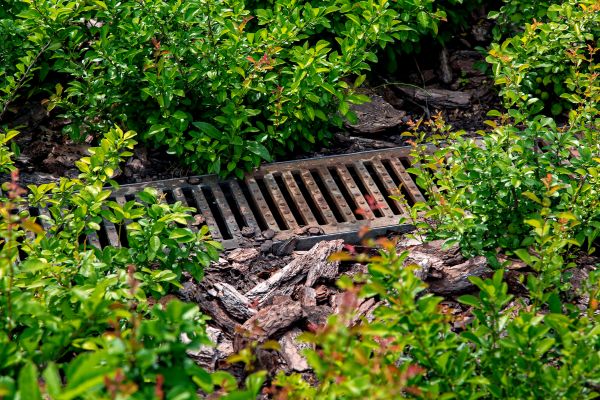 Cost of Underground Drainage Service in Tacoma