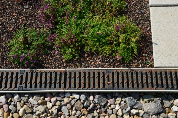 Cost of Yard Water Diversion in Tacoma