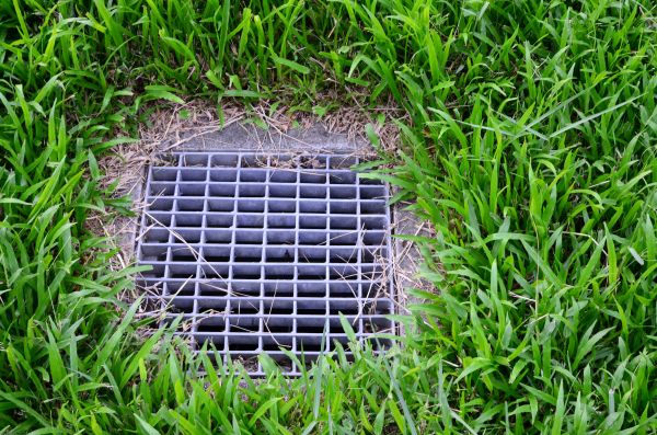 Cost of Yard Water Drainage in Tacoma