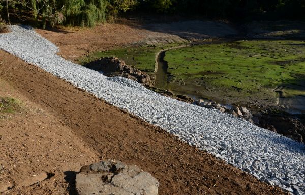 Cost of Landscape Swales Installation in Tacoma
