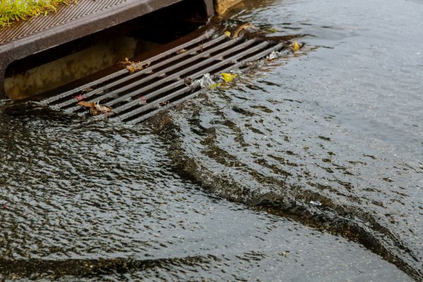 Cost of Storm Drainage Service in Tacoma
