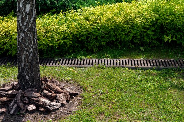 Cost of Wet Yard Drainage in Tacoma
