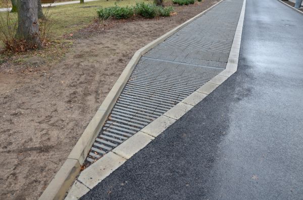 Cost of Muddy Yard Drainage in Tacoma