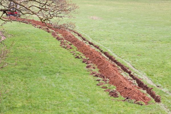 Cost of Swale Installation in Tacoma