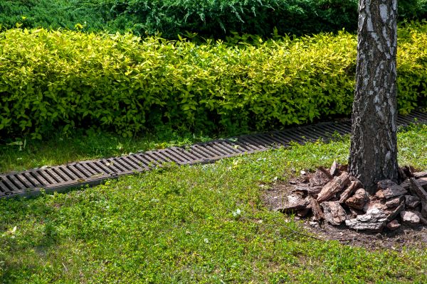 Cost of Residential Landscape Drainage in Tacoma
