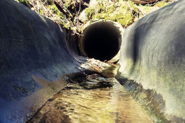 Cost of Drainage Swale Installation in Tacoma