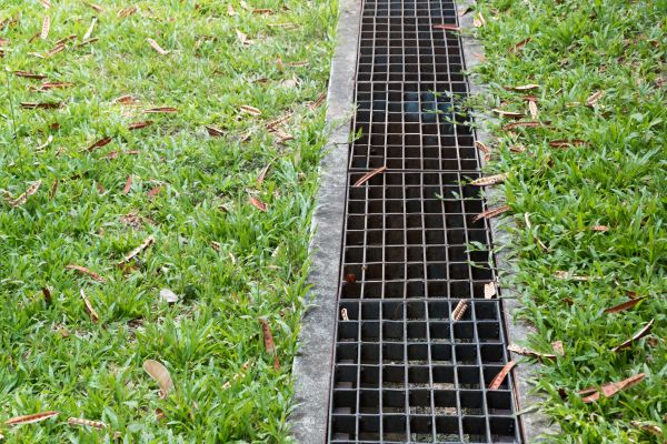 Cost of Exterior Drain Repair in Tacoma
