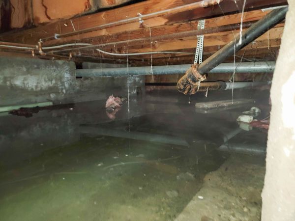 Cost of Crawlspace Drainage in Tacoma