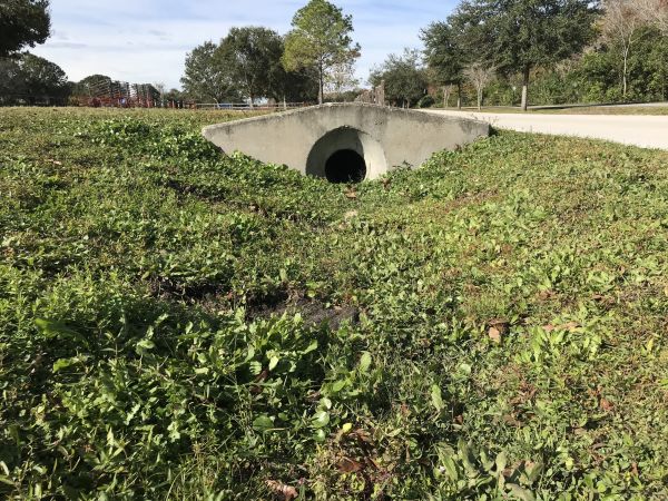 Cost of Swale Drainage Service in Tacoma